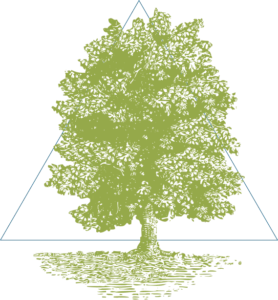 Taplow Logo